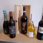 Palio House Montluc